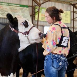 Meet your Posher, Autumn